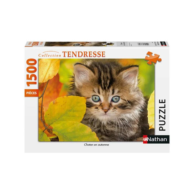 Chaton en automne (1500 pcs)