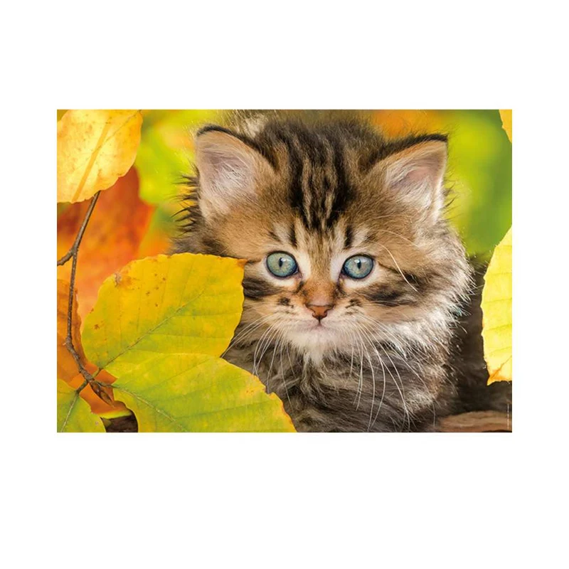 Chaton en automne (1500 pcs)