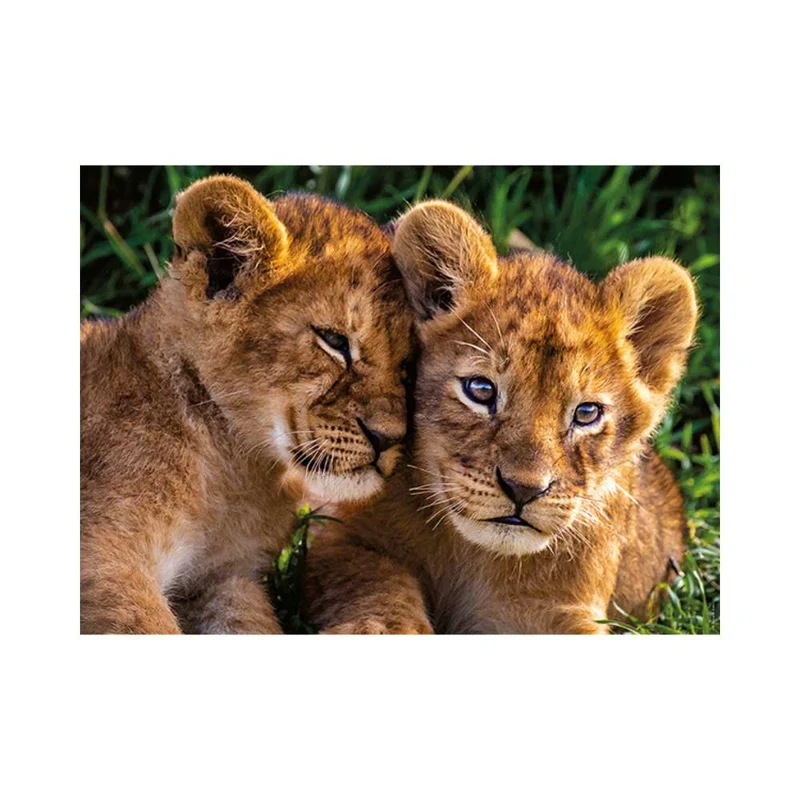 Adorables lionceaux (250 pcs)