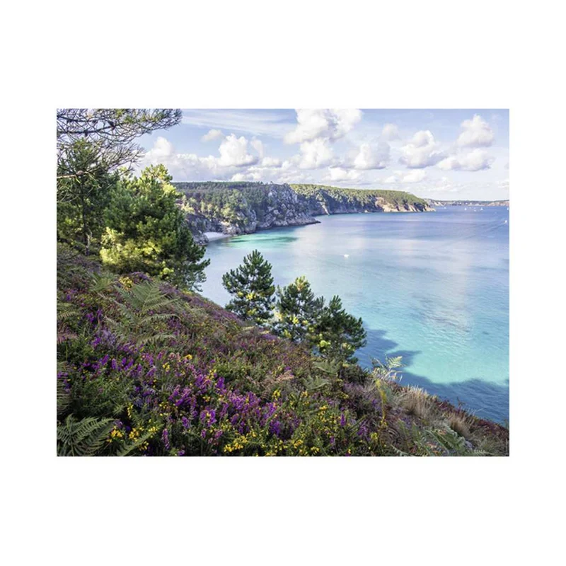 Plage de Crozon (2000 pcs)