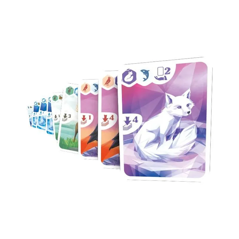 Arctic (ML)