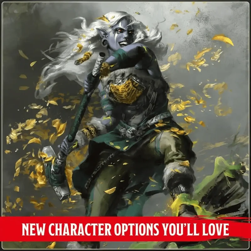 D&D Dungeons & Dragons: 2024 Player’s Handbook (EN)