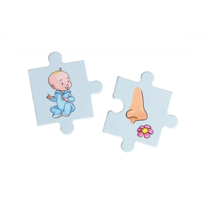 Sentence Jigsaw (EN)