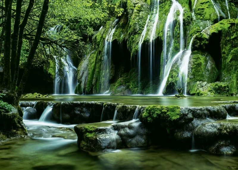 Cascades, Magic Forests (1000 pcs)