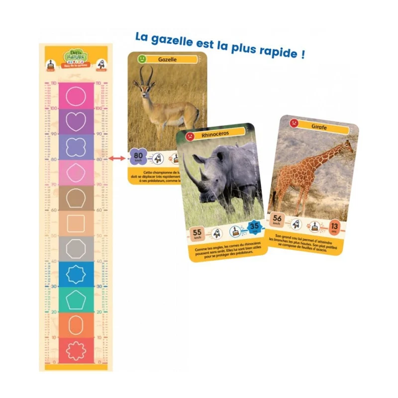 Défis Nature Junior / Rois de la savane (FR)