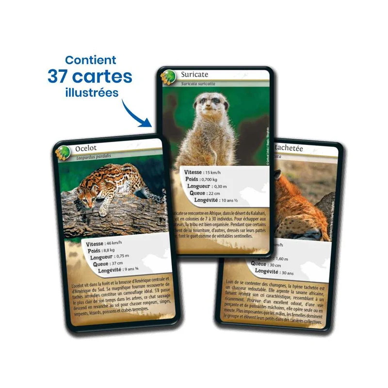 Défis Nature / Carnivores (FR)