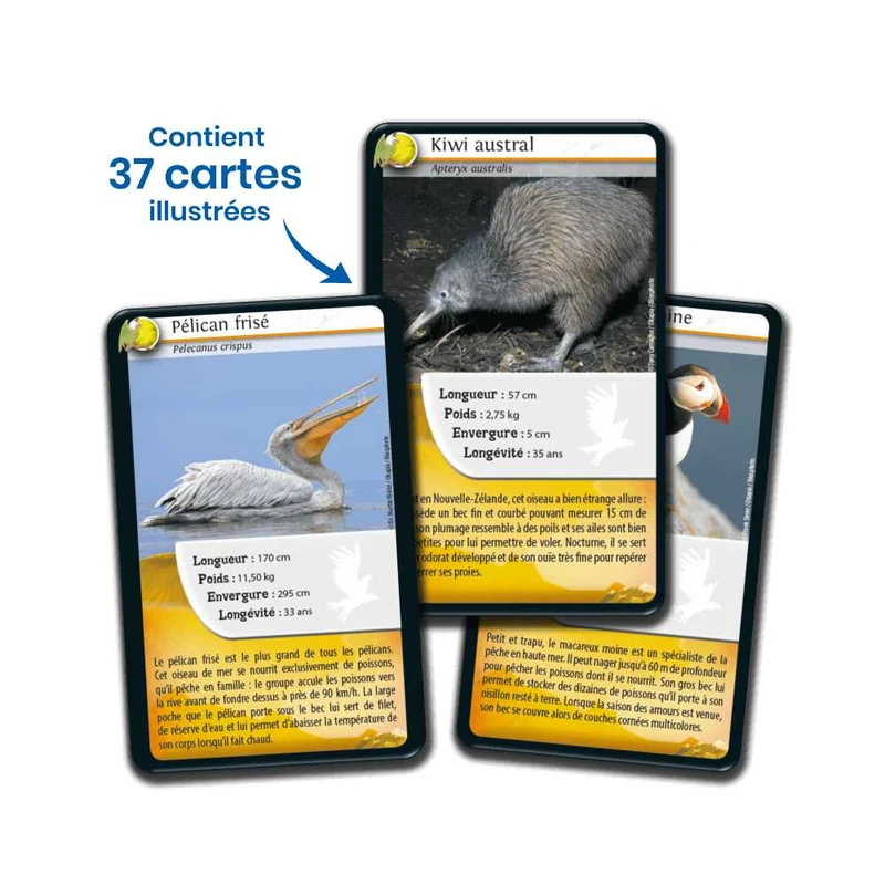 Défis Nature / Oiseaux (FR)