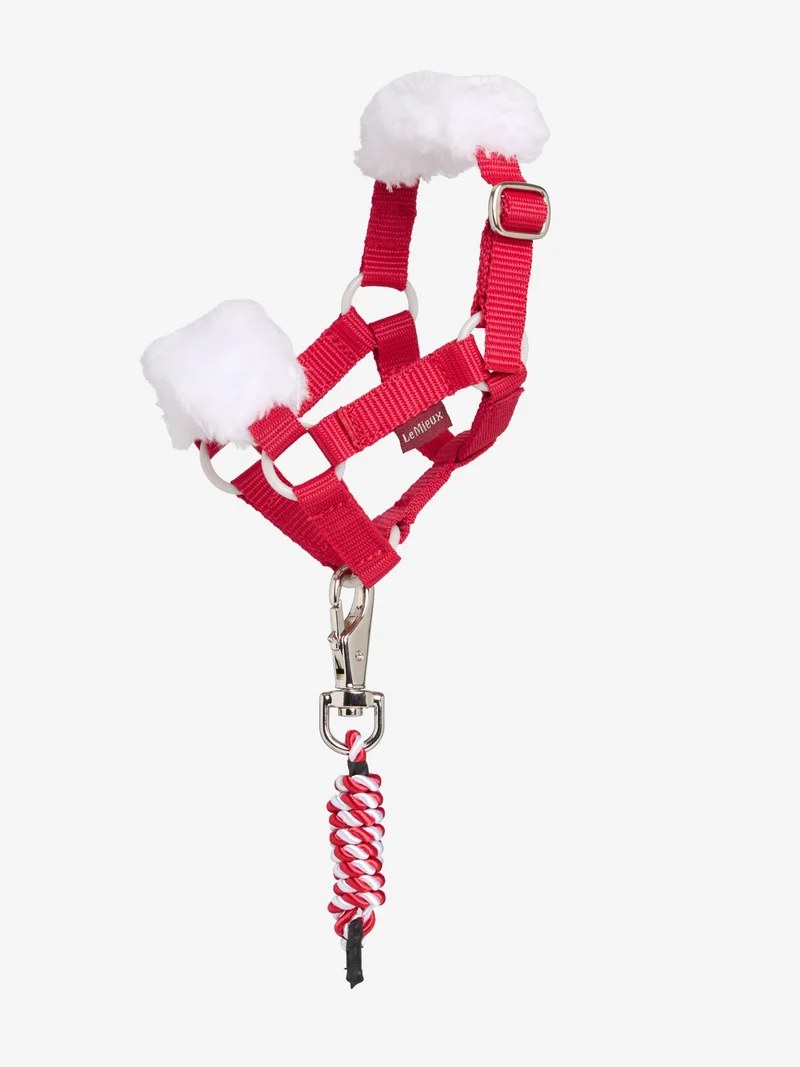 Longe et Licol de Noël Toy Pony LeMieux