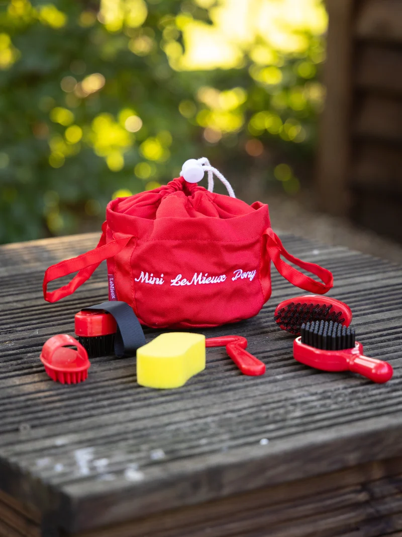 Kit de Pansage Toy Pony LeMieux