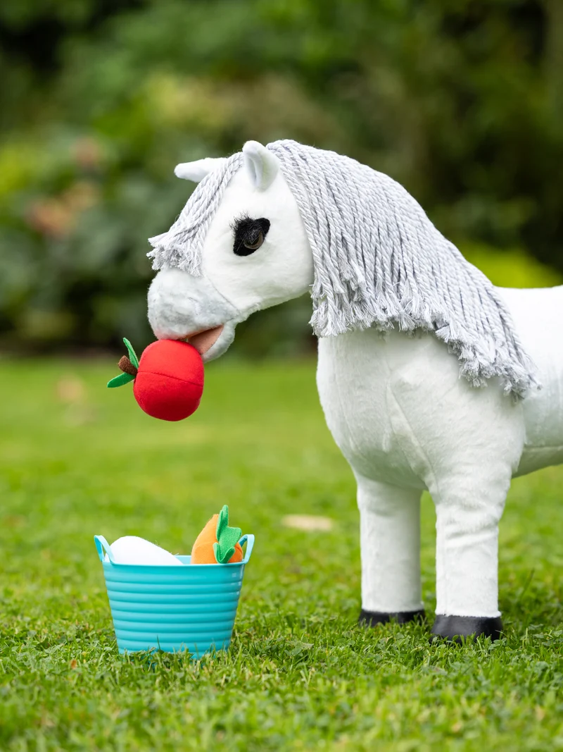 Seau à Friandises Toy Pony LeMieux