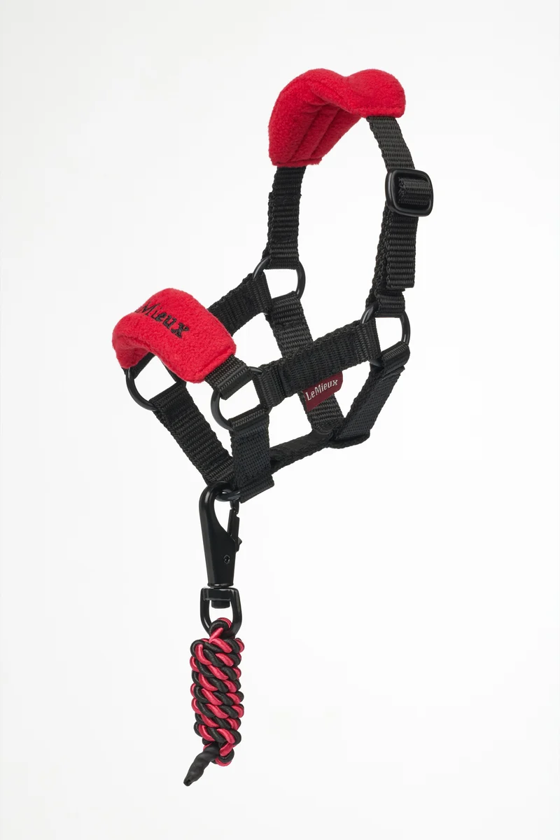 Licol Vogue Toy Pony LeMieux