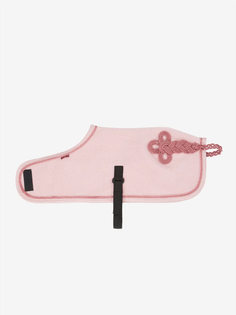 Couverture Toy Pony LeMieux