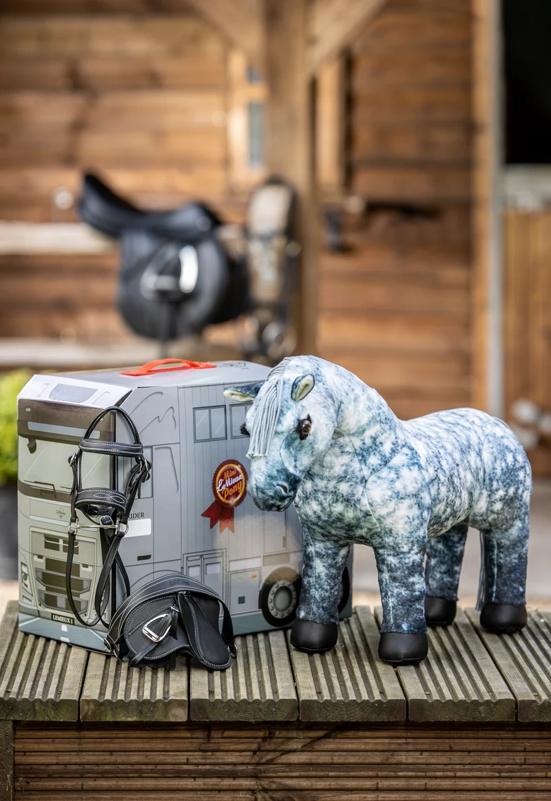 Toy Pony Sammy