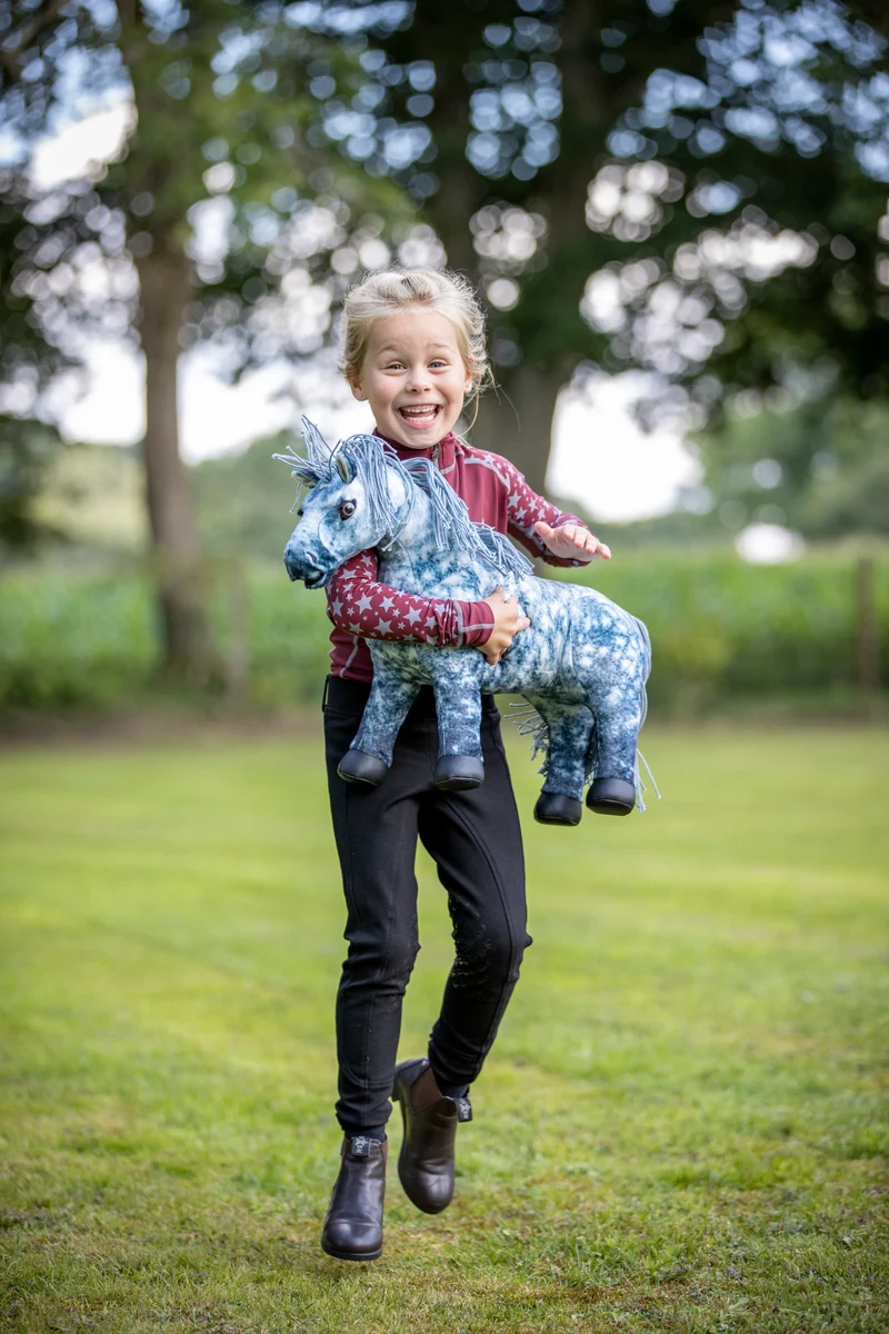 Toy Pony Sammy