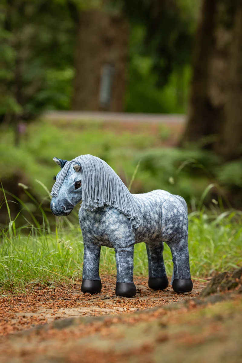 Toy Pony Sammy