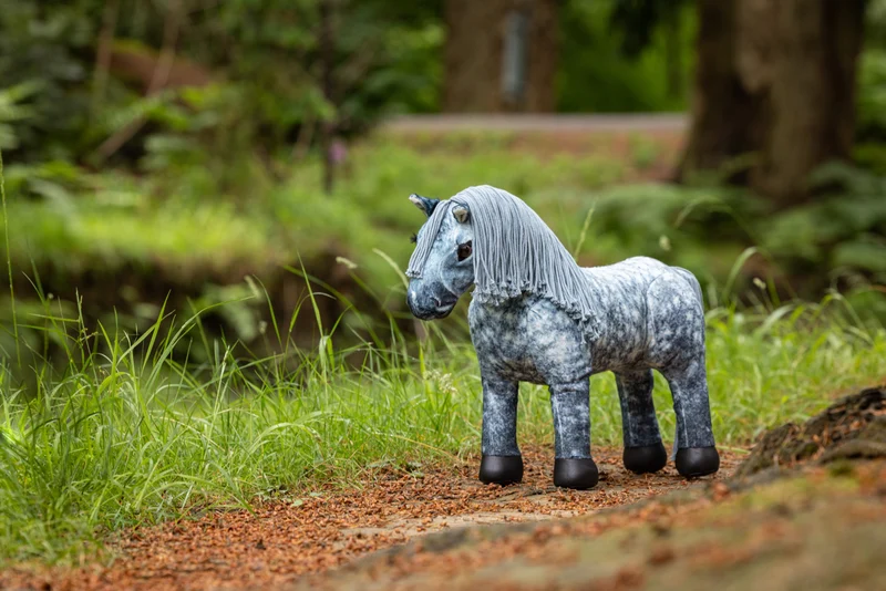 Toy Pony Sammy