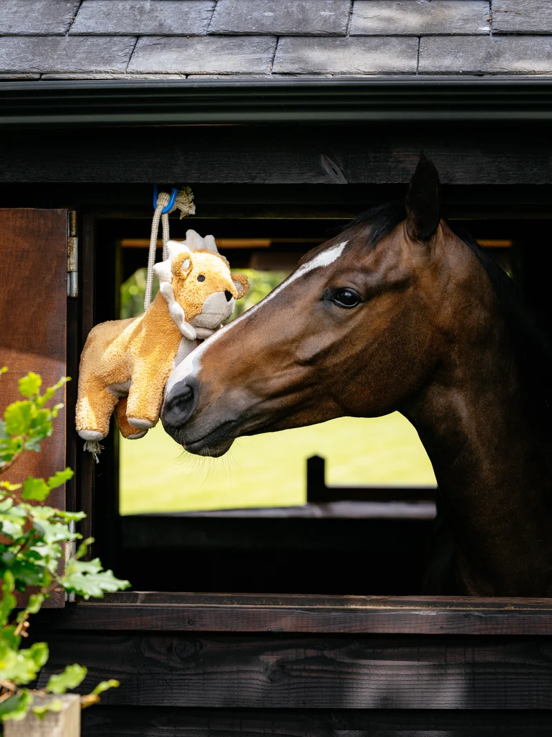 Lion en peluche pour chevaux LeMieux