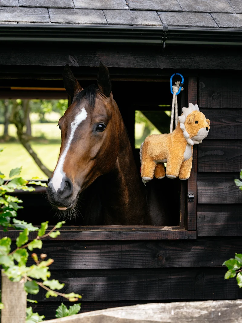 Lion en peluche pour chevaux LeMieux