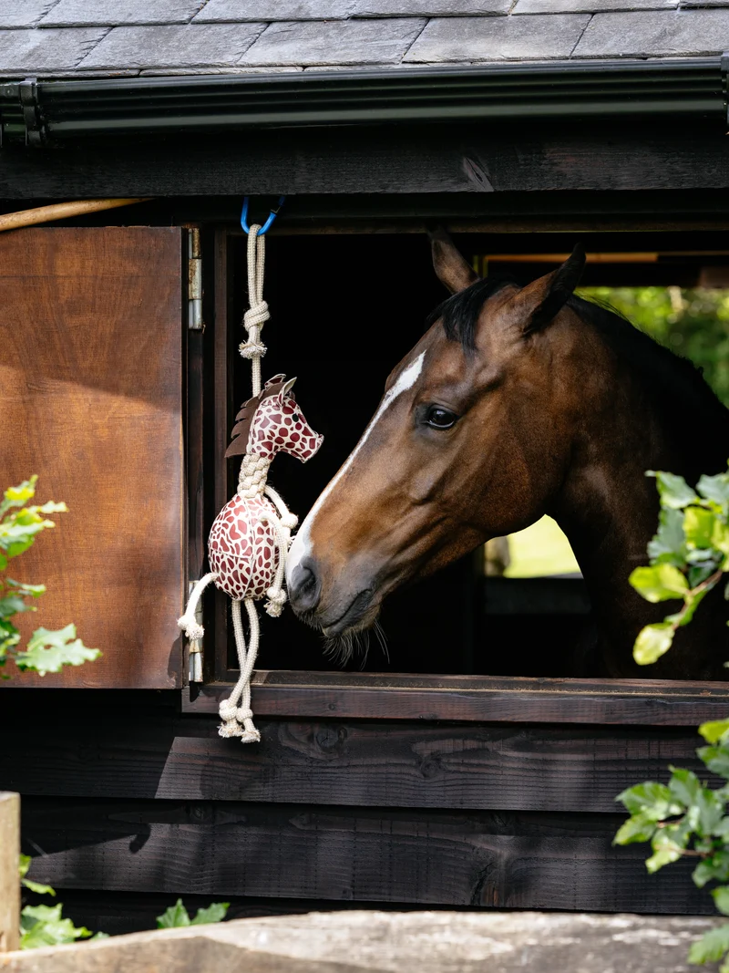 Jouet pour chevaux Girafe LeMieux