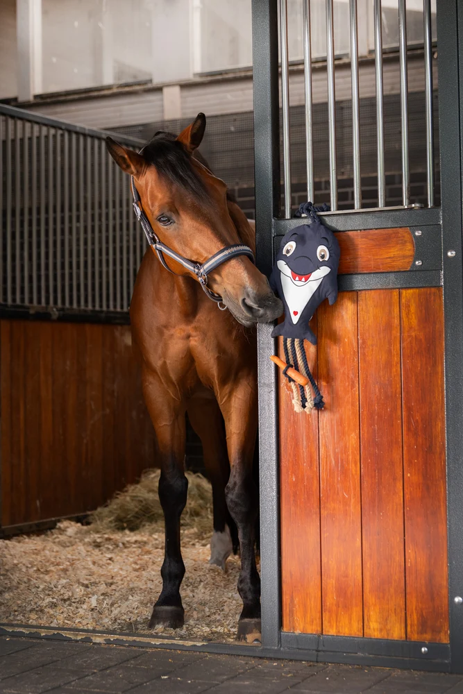 Jouet pour cheval DOLPHIN Eskadron Classic Sports 2026