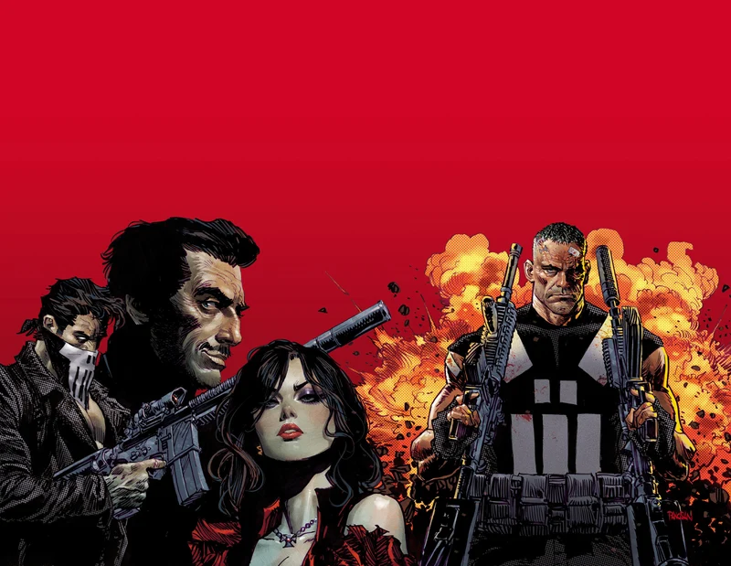 Marvel Knights : Punisher