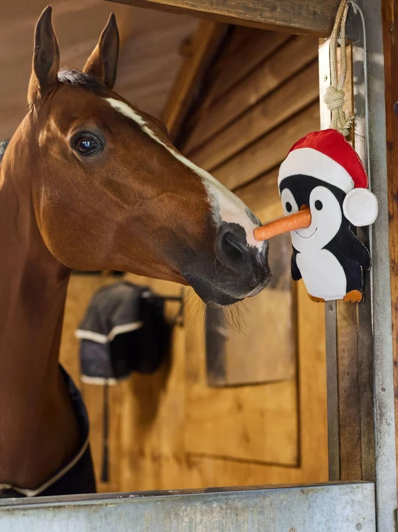 Jouet pour cheval Pinguin LeMieux