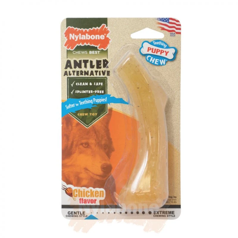 Jouet branche pour chiot saveur poulet - Nylabone