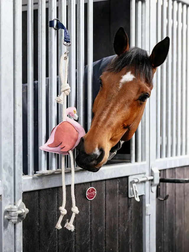 Jouet pour chevaux flamant rose LeMieux