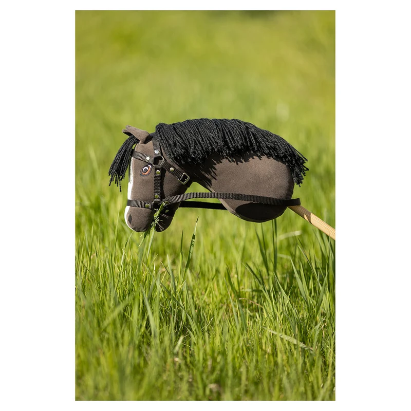 Hobby Horse BR Mini
