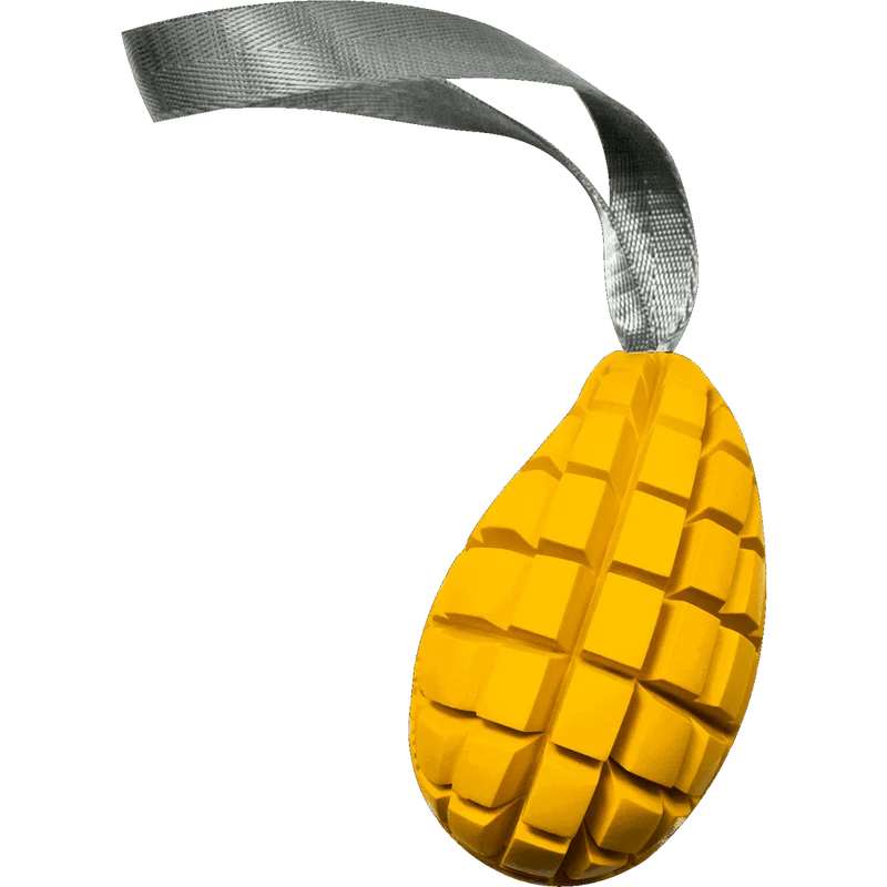 Jouet pour chien Mangue de Sprenger