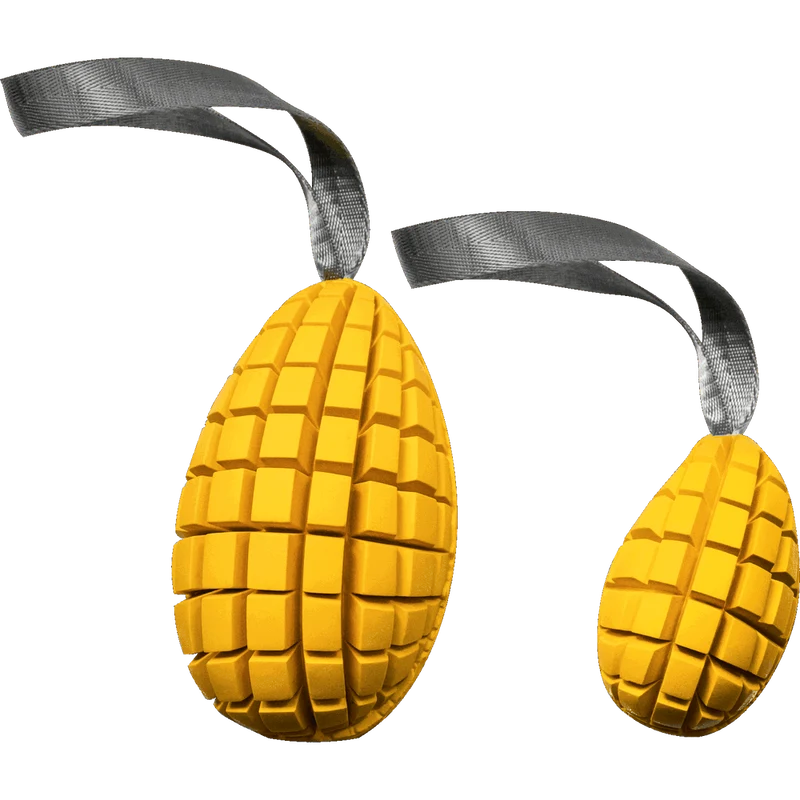 Jouet pour chien Mangue de Sprenger