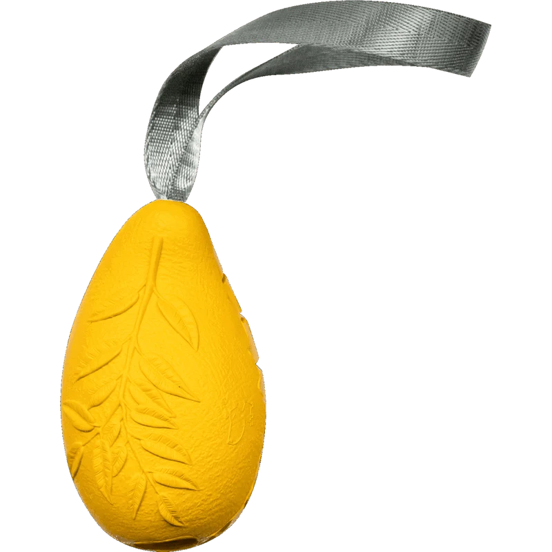 Jouet pour chien Mangue de Sprenger