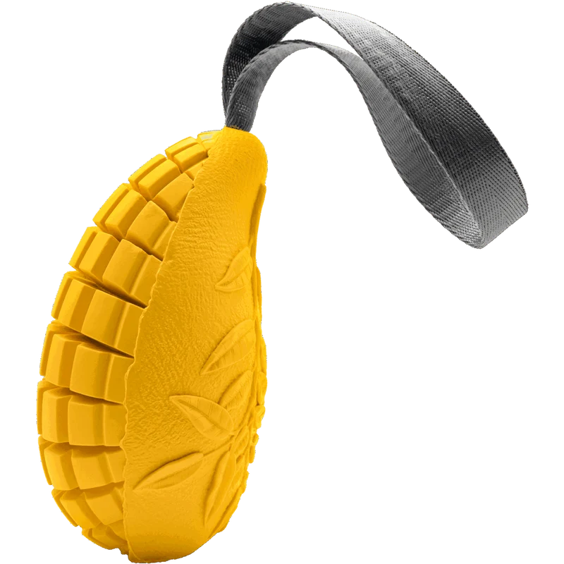 Jouet pour chien Mangue de Sprenger