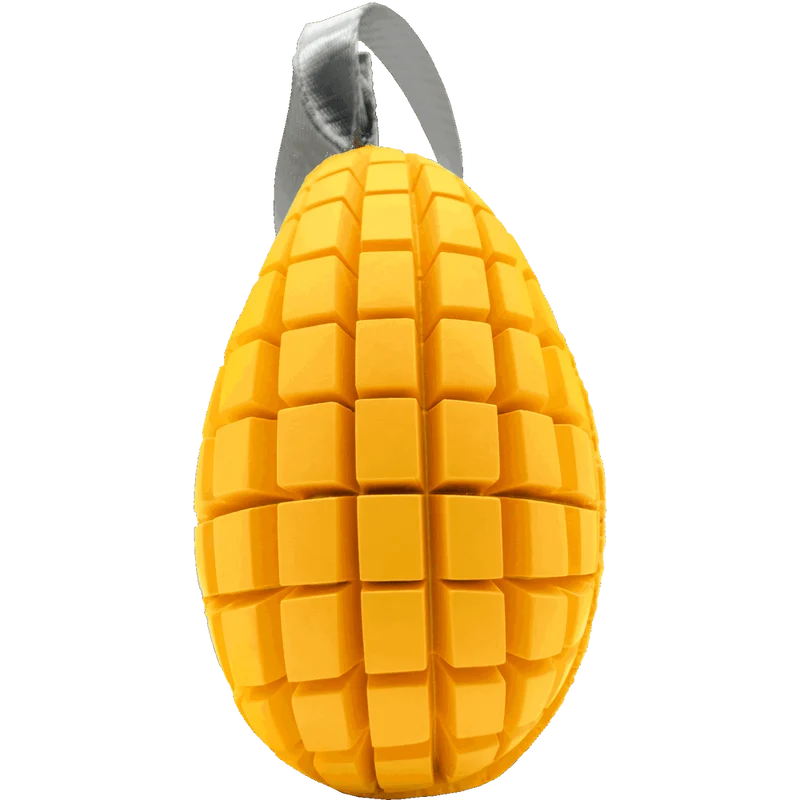 Jouet pour chien Mangue de Sprenger