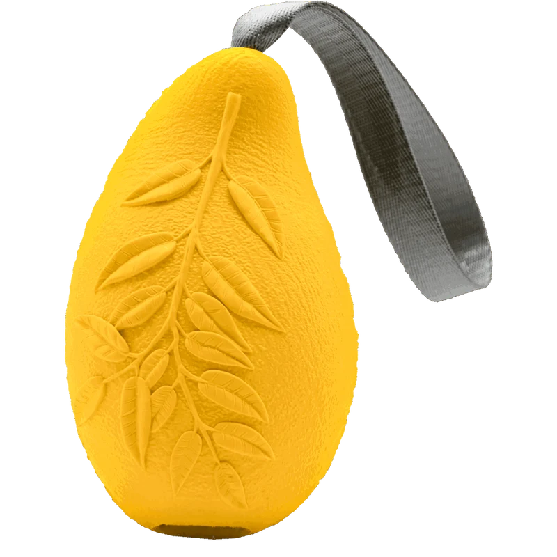 Jouet pour chien Mangue de Sprenger