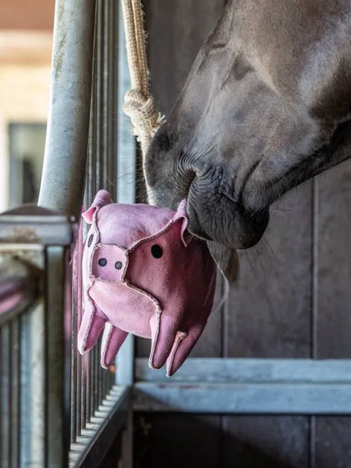 Jouet pour chevaux Flying Pig