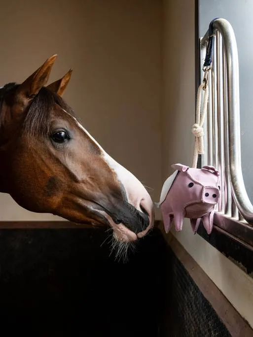 Jouet pour chevaux Flying Pig