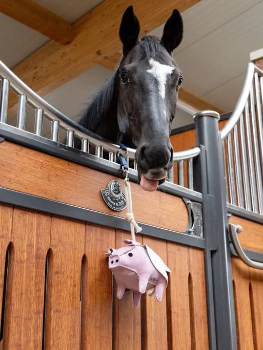 Jouet pour chevaux Flying Pig