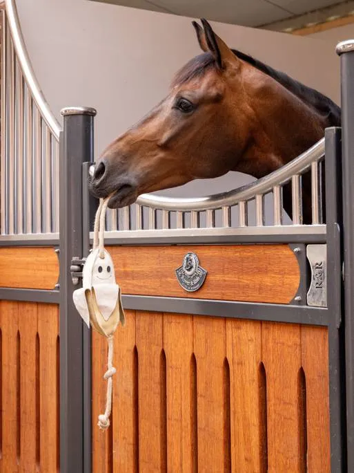 Jouet pour chevaux banane