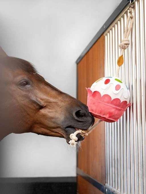 Jouet pour chevaux cupcake