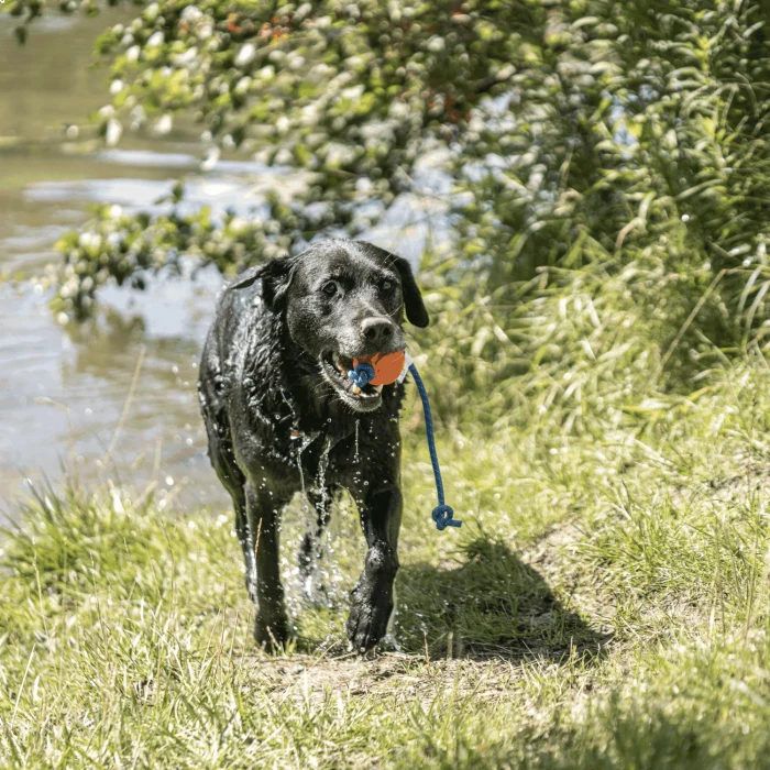 Fun Ball Sprenger pour chien