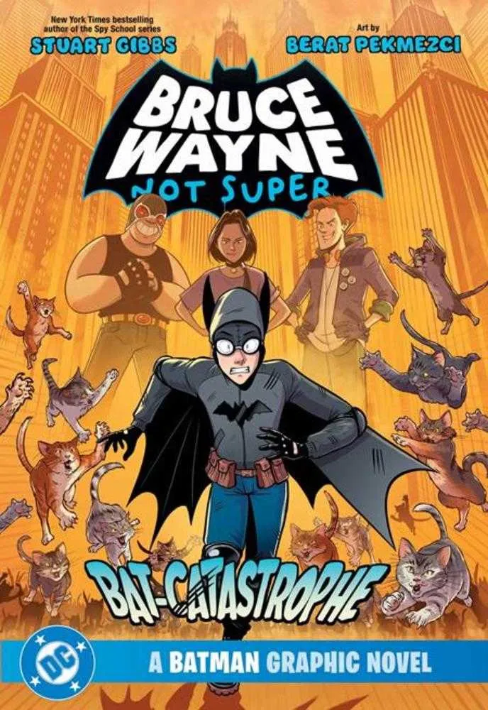 Bruce Wayne n'est pas super-héros. La catastrophe de Batman. Un roman graphique Batman (TPB).
