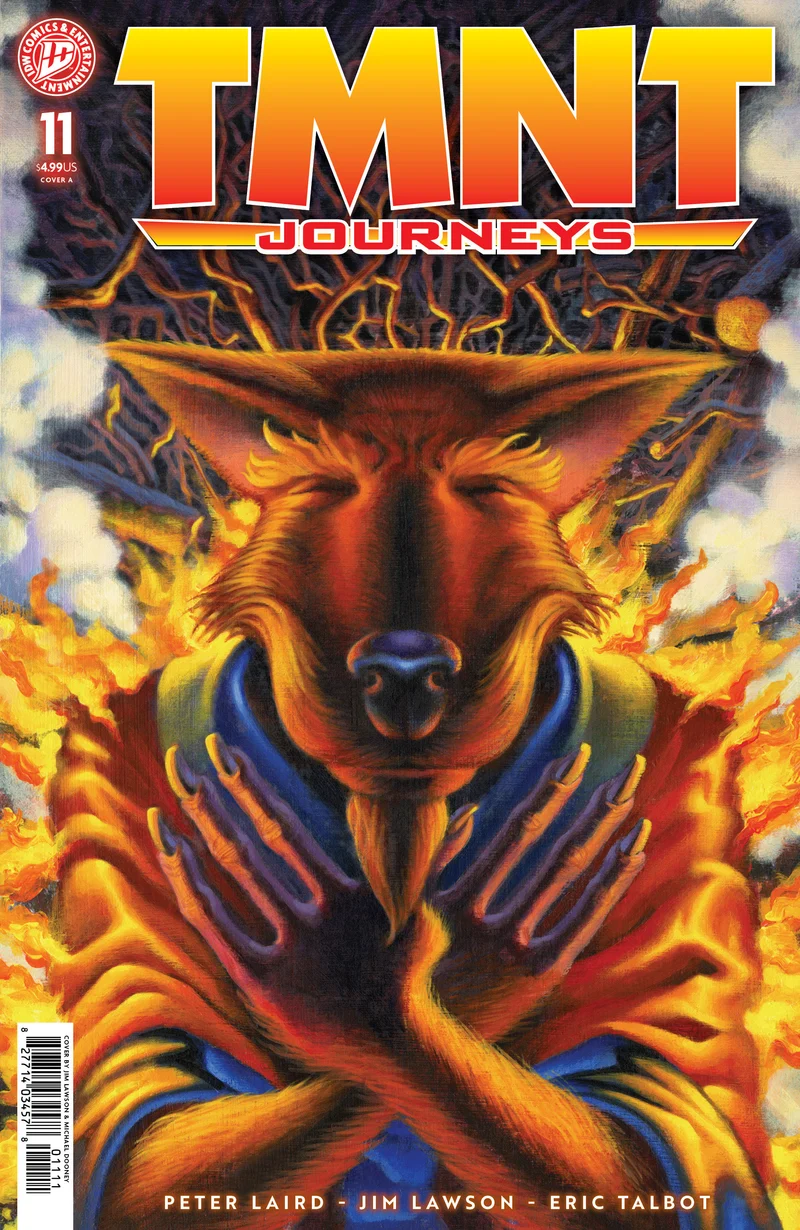 Les Tortues Ninja : Voyages #11 IDW A Dooney & Lawson 07/01/2026