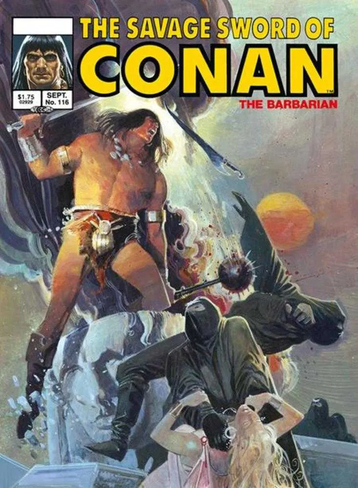 L'Épée Sauvage de Conan : L'intégrale des comics originaux, édition DM, vol. 8