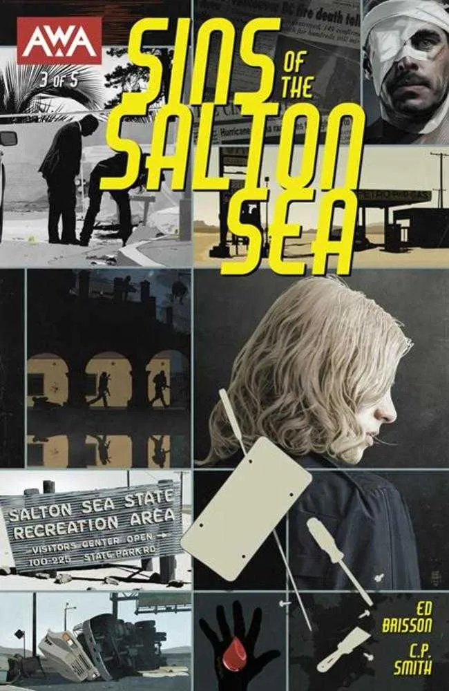 Sins Of The Salton Sea #3 (sur 5) Couverture A Tim Bradstreet (Public averti)