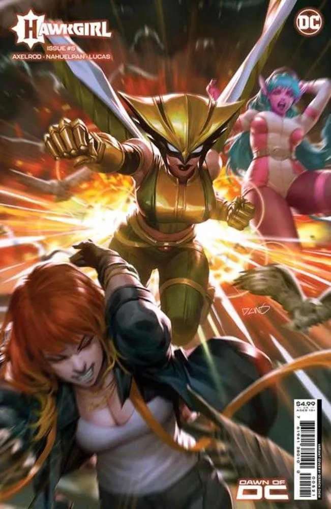 Hawkgirl n° 5 (sur 6) Couverture B, variante sur papier cartonné, par Derrick Chew
