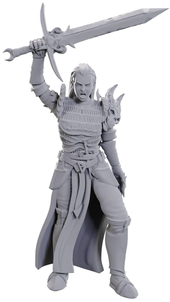 D&D MINIS : WV25 BLACKGUARD